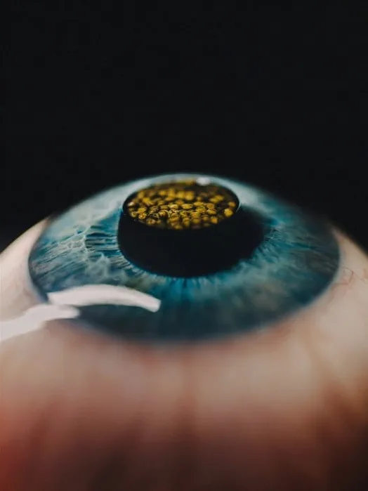 A macro photograph of a human eye, central motif in Alchemist's storytelling