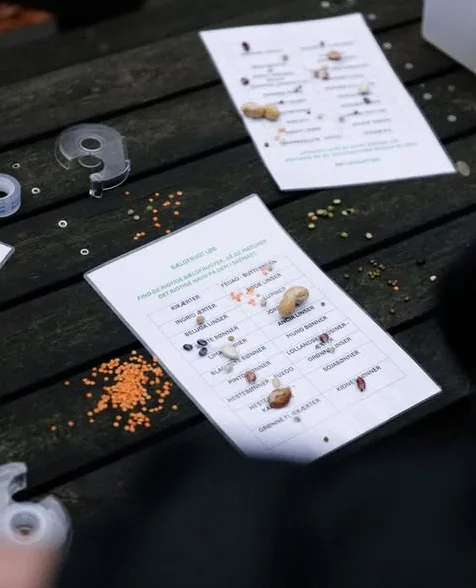Hand-printed tasting cards on a wooden table identifying lentils, beans and seeds from the Alchemist larder