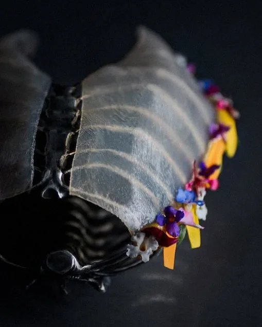 The Philosophy of Holistic Cuisine