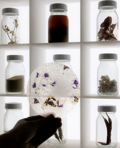 The Pairing Flight at Alchemist